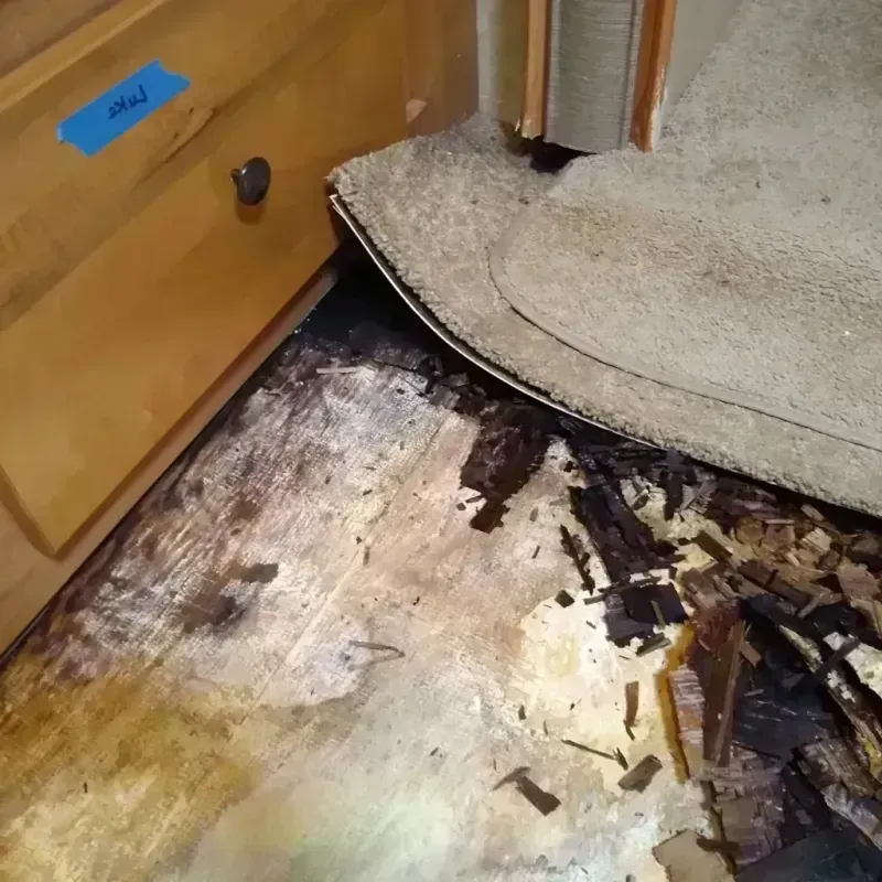 Wood Floor Water Damage in Calumet County, WI